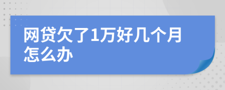 网贷欠了1万好几个月怎么办