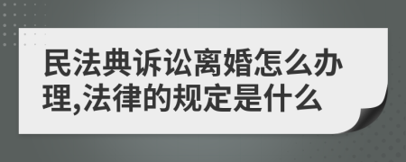 民法典诉讼离婚怎么办理,法律的规定是什么