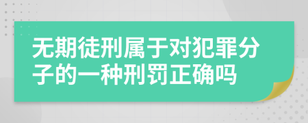 无期徒刑属于对犯罪分子的一种刑罚正确吗