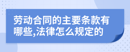 劳动合同的主要条款有哪些,法律怎么规定的