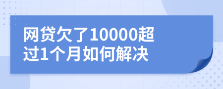 网贷欠了10000超过1个月如何解决