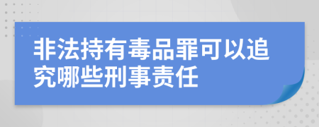 非法持有毒品罪可以追究哪些刑事责任