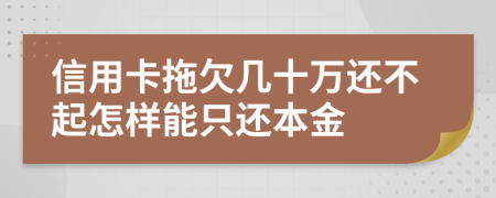 信用卡拖欠几十万还不起怎样能只还本金