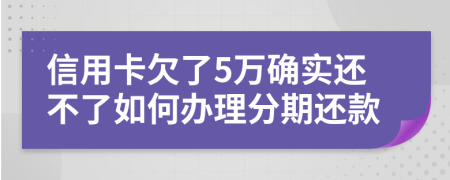 信用卡欠了5万确实还不了如何办理分期还款