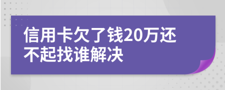 信用卡欠了钱20万还不起找谁解决