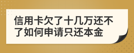 信用卡欠了十几万还不了如何申请只还本金