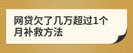 网贷欠了几万超过1个月补救方法