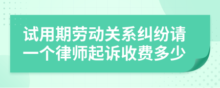 试用期劳动关系纠纷请一个律师起诉收费多少