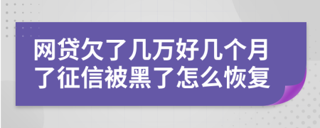 网贷欠了几万好几个月了征信被黑了怎么恢复