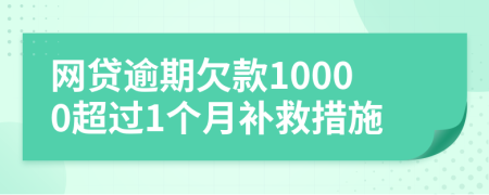 网贷逾期欠款10000超过1个月补救措施