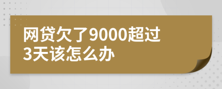 网贷欠了9000超过3天该怎么办