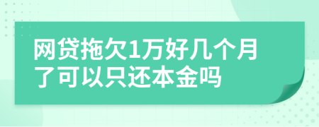 网贷拖欠1万好几个月了可以只还本金吗