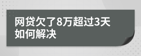 网贷欠了8万超过3天如何解决