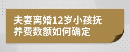 夫妻离婚12岁小孩抚养费数额如何确定