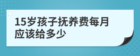 15岁孩子抚养费每月应该给多少