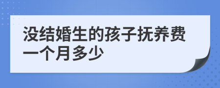 没结婚生的孩子抚养费一个月多少