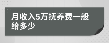 月收入5万抚养费一般给多少