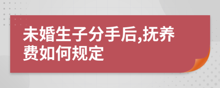 未婚生子分手后,抚养费如何规定