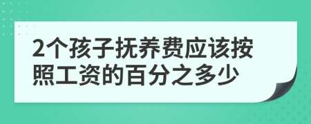 2个孩子抚养费应该按照工资的百分之多少