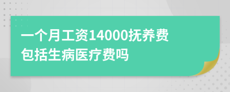 一个月工资14000抚养费包括生病医疗费吗