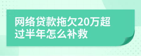 网络贷款拖欠20万超过半年怎么补救