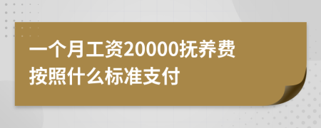 一个月工资20000抚养费按照什么标准支付