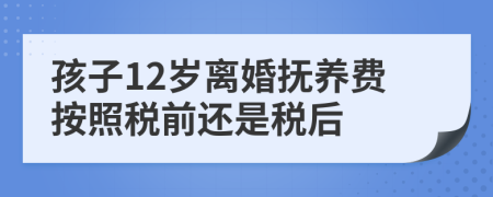 孩子12岁离婚抚养费按照税前还是税后