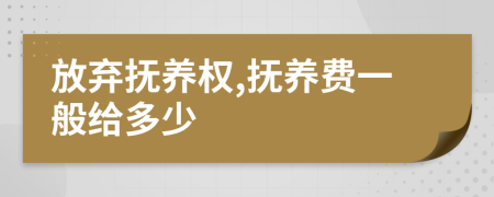 放弃抚养权,抚养费一般给多少