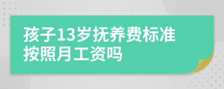 孩子13岁抚养费标准按照月工资吗