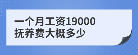 一个月工资19000抚养费大概多少