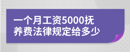 一个月工资5000抚养费法律规定给多少