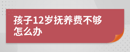 孩子12岁抚养费不够怎么办
