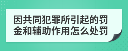 因共同犯罪所引起的罚金和辅助作用怎么处罚