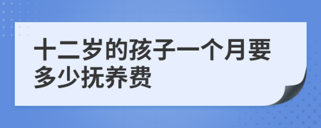 十二岁的孩子一个月要多少抚养费