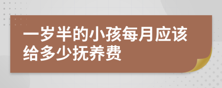 一岁半的小孩每月应该给多少抚养费