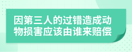 因第三人的过错造成动物损害应该由谁来赔偿