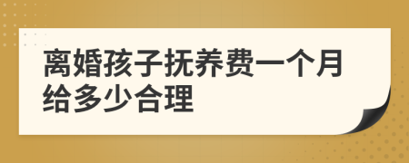 离婚孩子抚养费一个月给多少合理