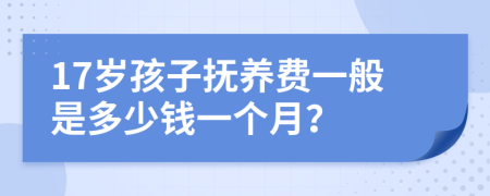 17岁孩子抚养费一般是多少钱一个月？