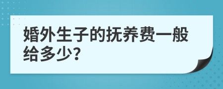 婚外生子的抚养费一般给多少？