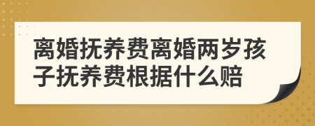 离婚抚养费离婚两岁孩子抚养费根据什么赔