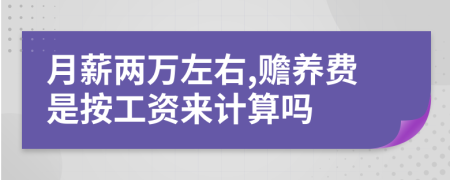 月薪两万左右,赡养费是按工资来计算吗