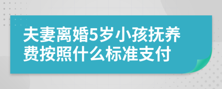 夫妻离婚5岁小孩抚养费按照什么标准支付