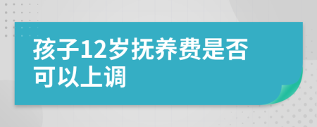 孩子12岁抚养费是否可以上调