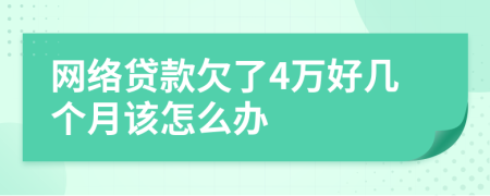 网络贷款欠了4万好几个月该怎么办