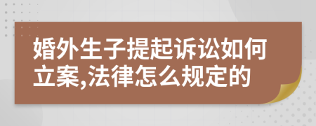 婚外生子提起诉讼如何立案,法律怎么规定的