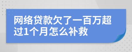 网络贷款欠了一百万超过1个月怎么补救