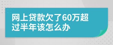 网上贷款欠了60万超过半年该怎么办