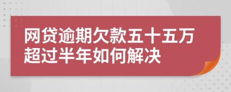 网贷逾期欠款五十五万超过半年如何解决