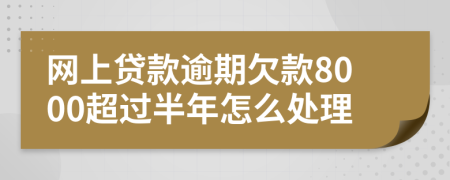 网上贷款逾期欠款8000超过半年怎么处理