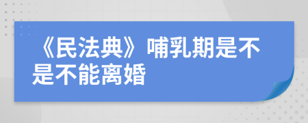 《民法典》哺乳期是不是不能离婚